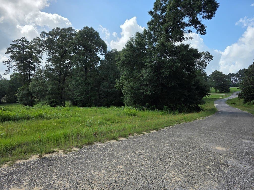 2.47 acres in Texas County - photo 12