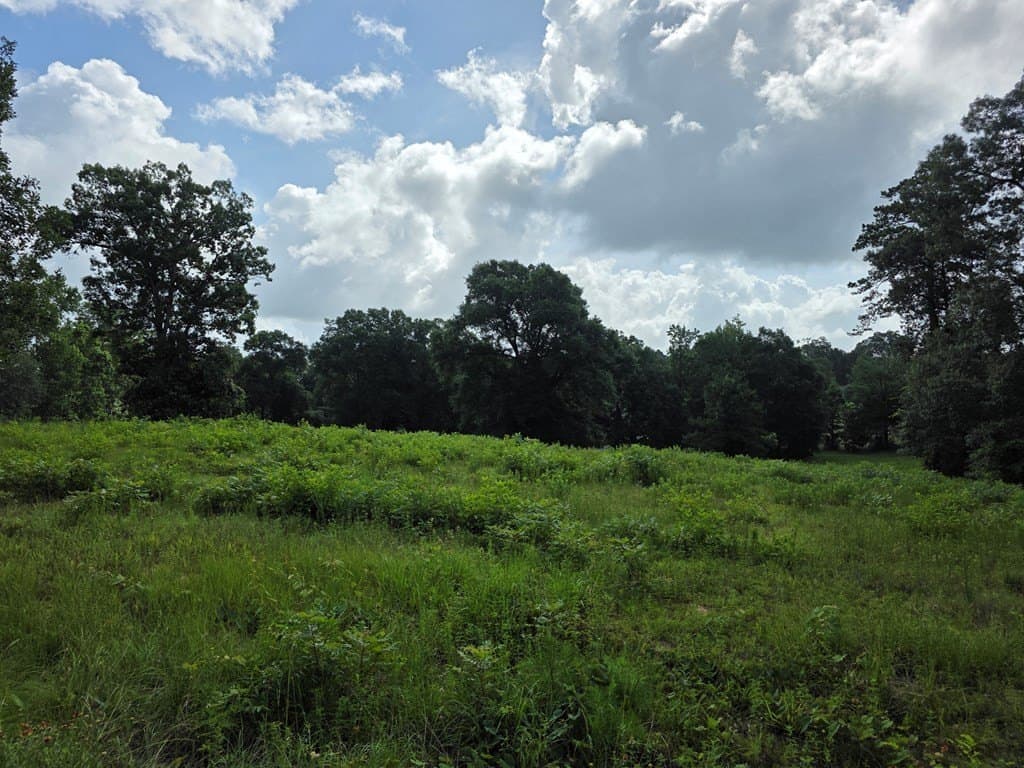 2.47 acres in Texas County - photo 11
