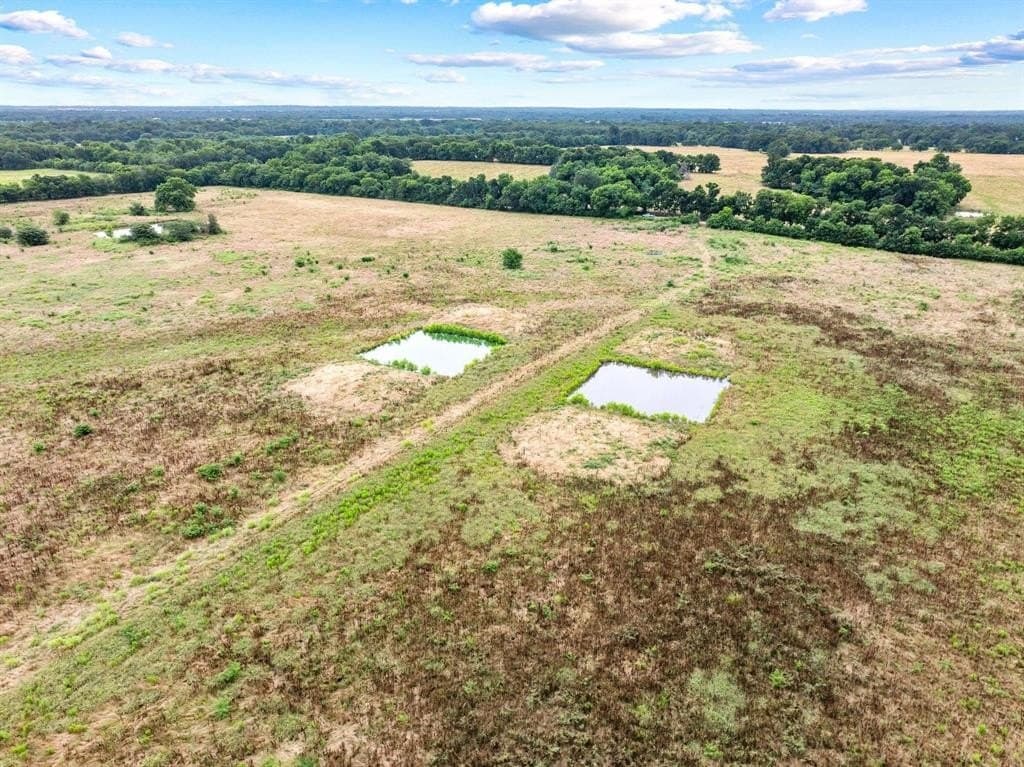 68.98 acres in Delta County gallery image 2