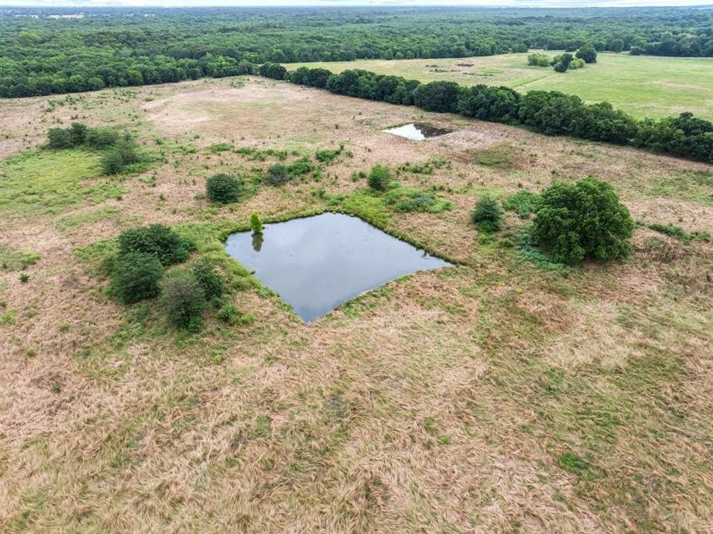 68.98 acres in Delta County gallery image 3