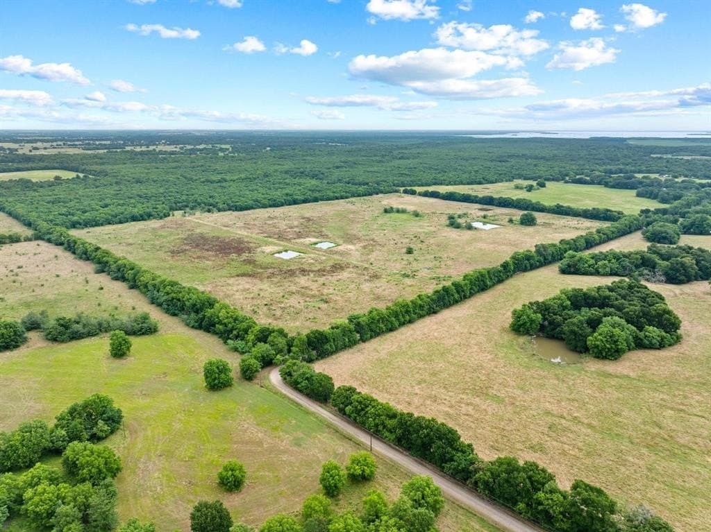 68.98 acres in Delta County gallery image 4