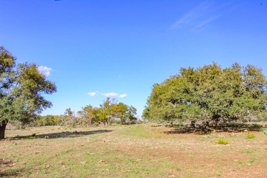 50 acres in Gillespie County - photo 7