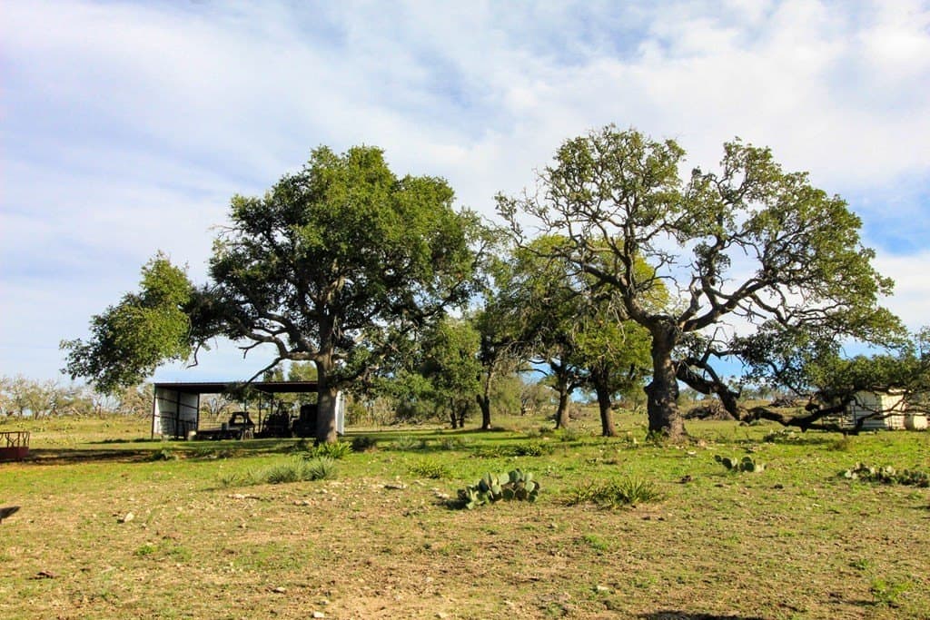 50 acres in Gillespie County gallery image 2