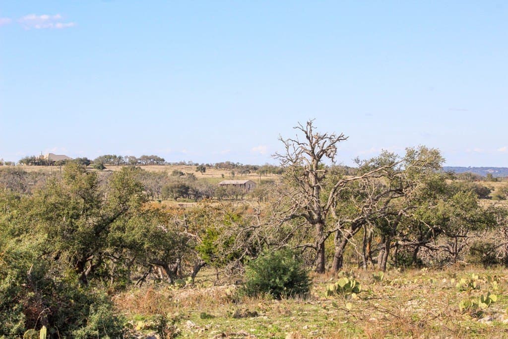 50 acres in Gillespie County featured view
