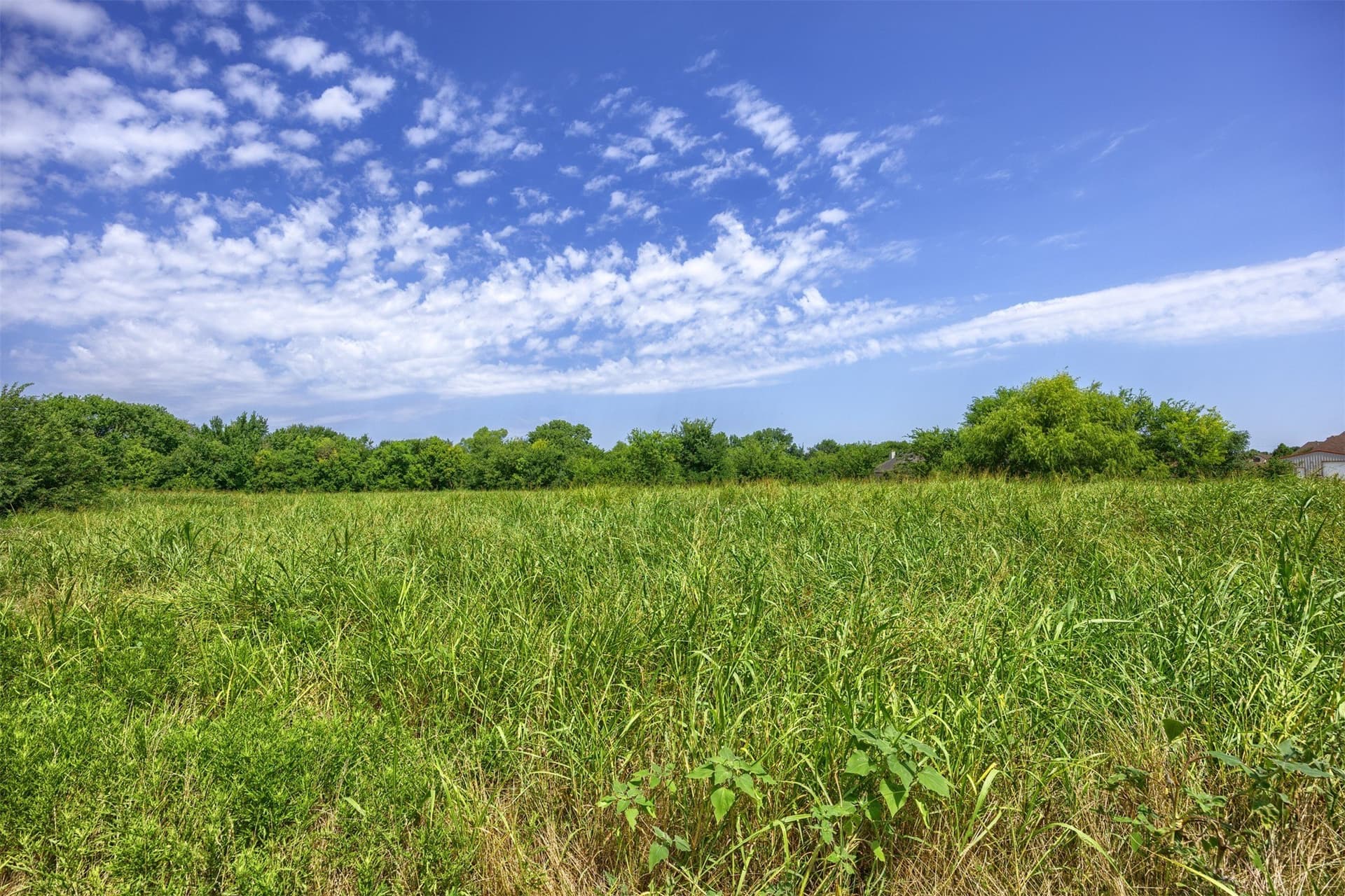 5 acres in Collin County - photo 4