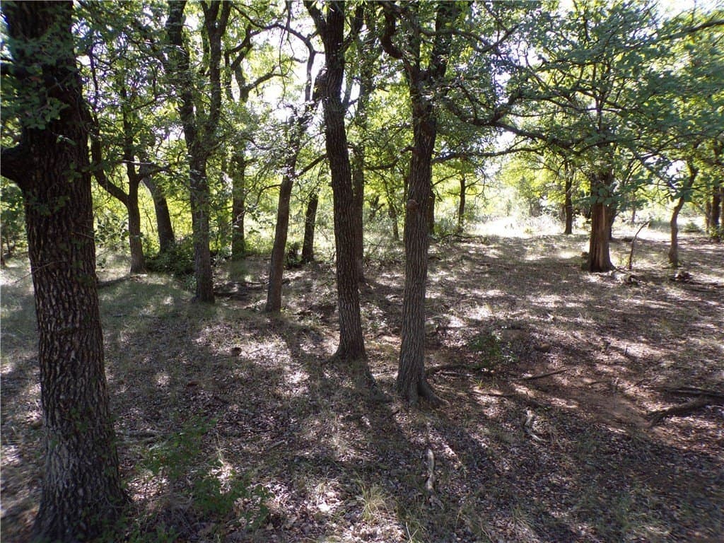 35 acres in Brown County - photo 19