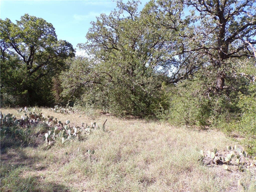 35 acres in Brown County - photo 27