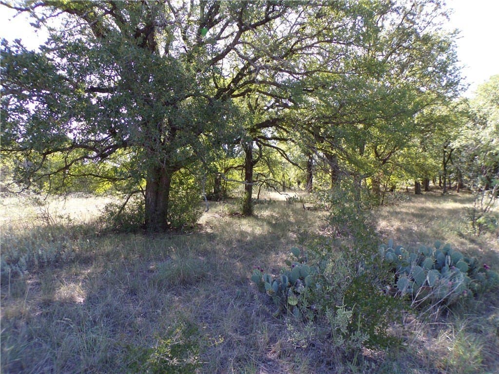 35 acres in Brown County - photo 23