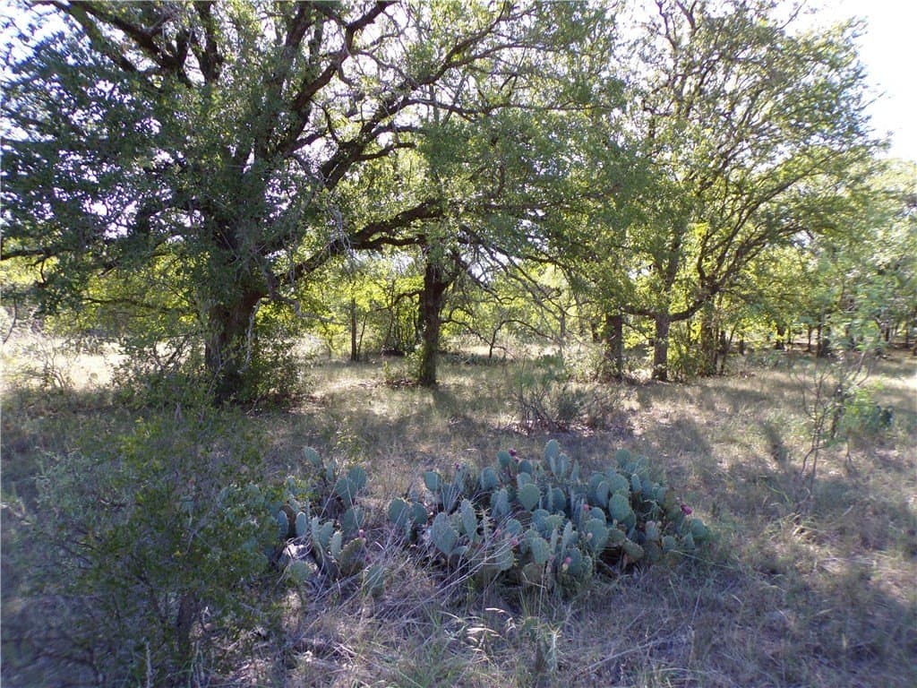 35 acres in Brown County - photo 26