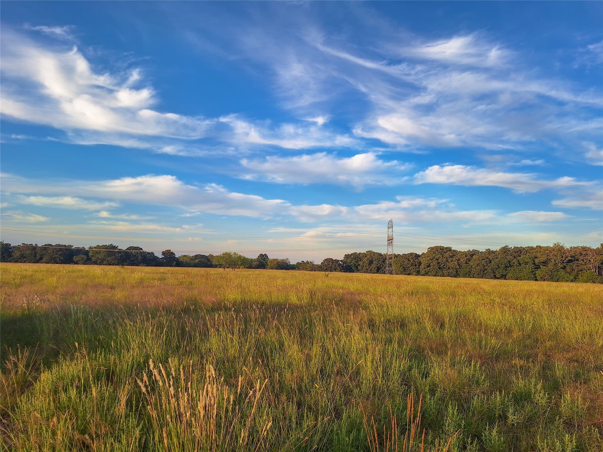 9 acres in Henderson County - photo 14