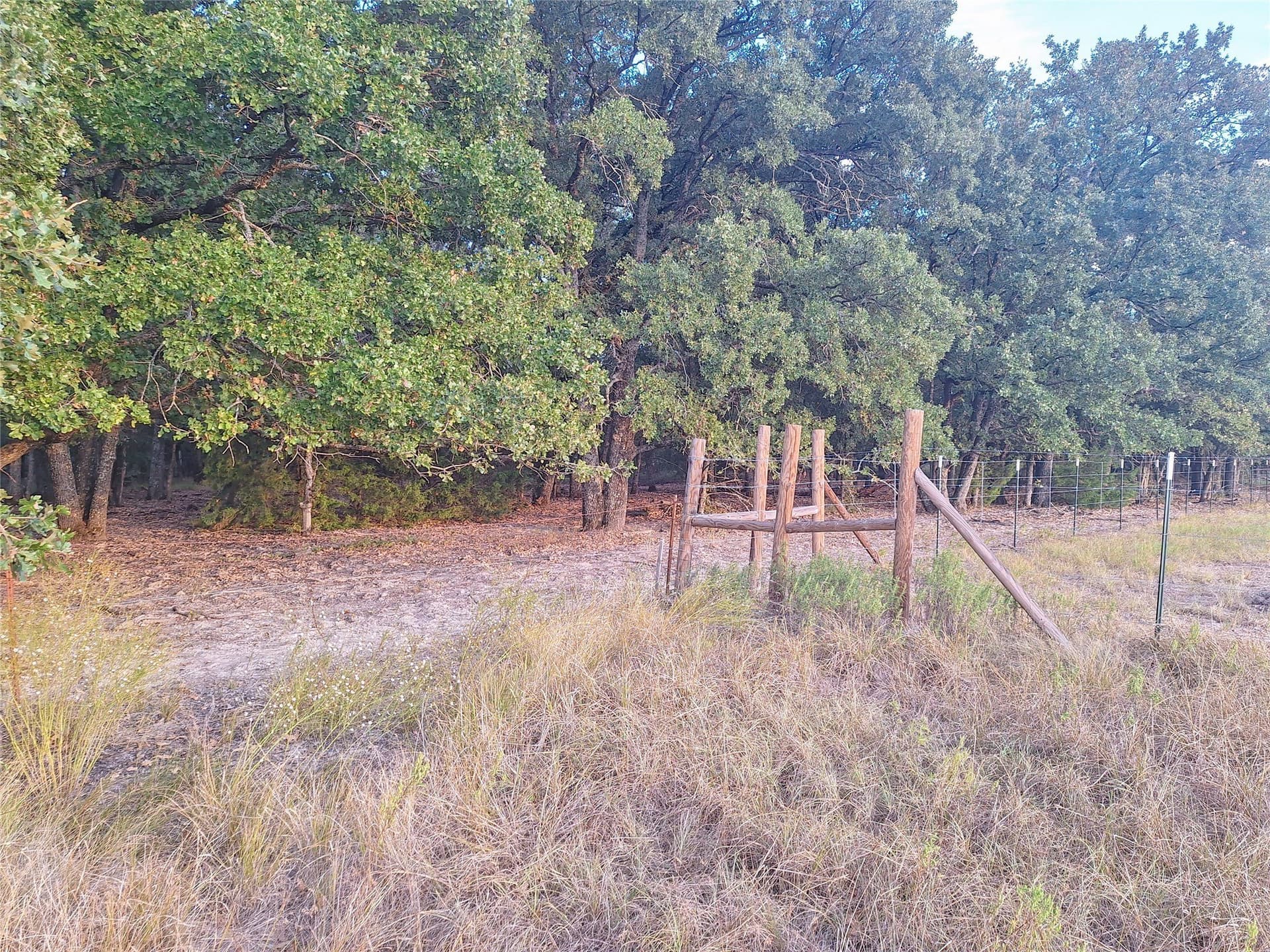 9 acres in Henderson County - photo 10