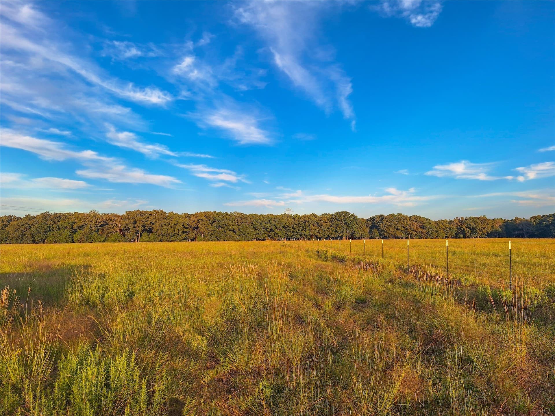 9 acres in Henderson County - photo 15