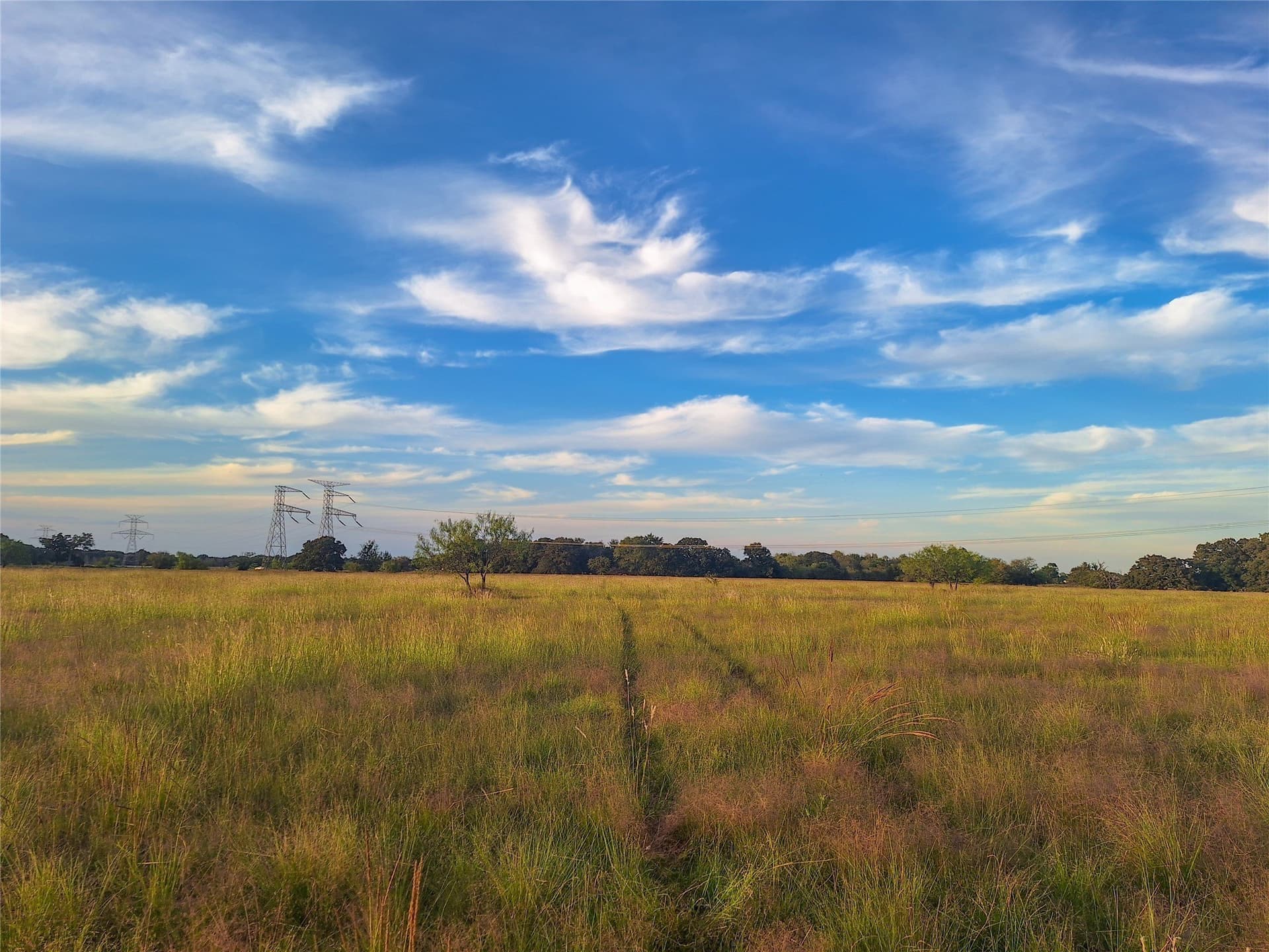 9 acres in Henderson County - photo 13