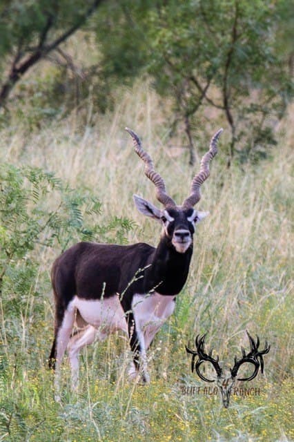 1,137 acres in Nolan County - photo 13