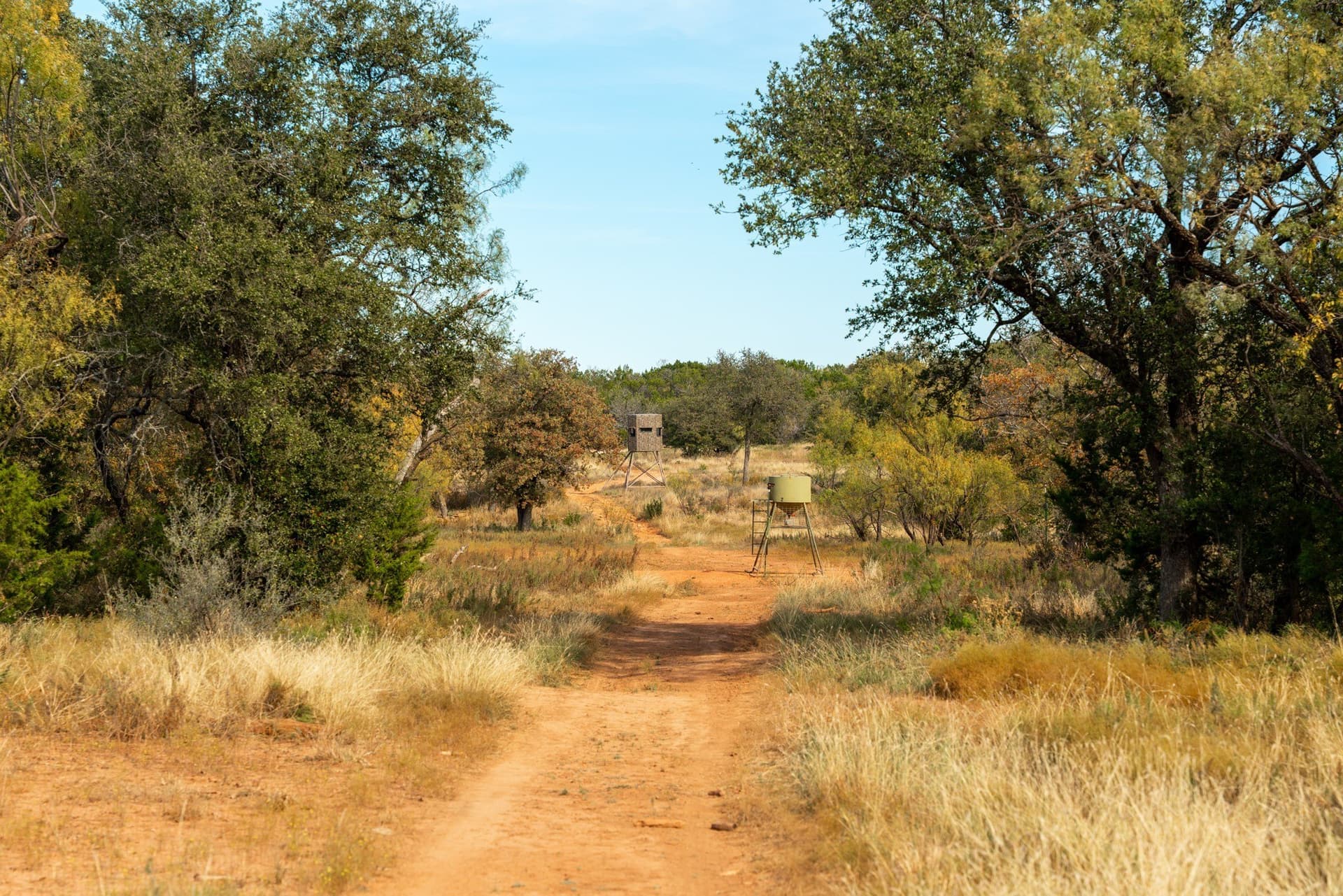 1,137 acres in Nolan County - photo 15