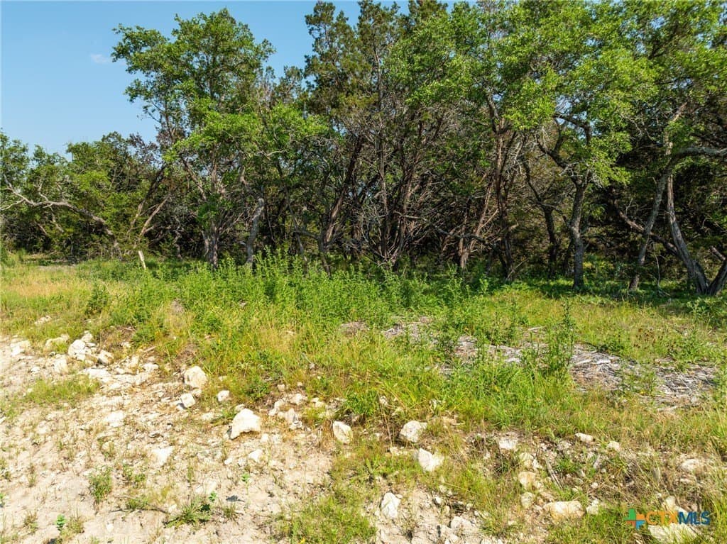 15.47 acres in Burnet County - photo 35