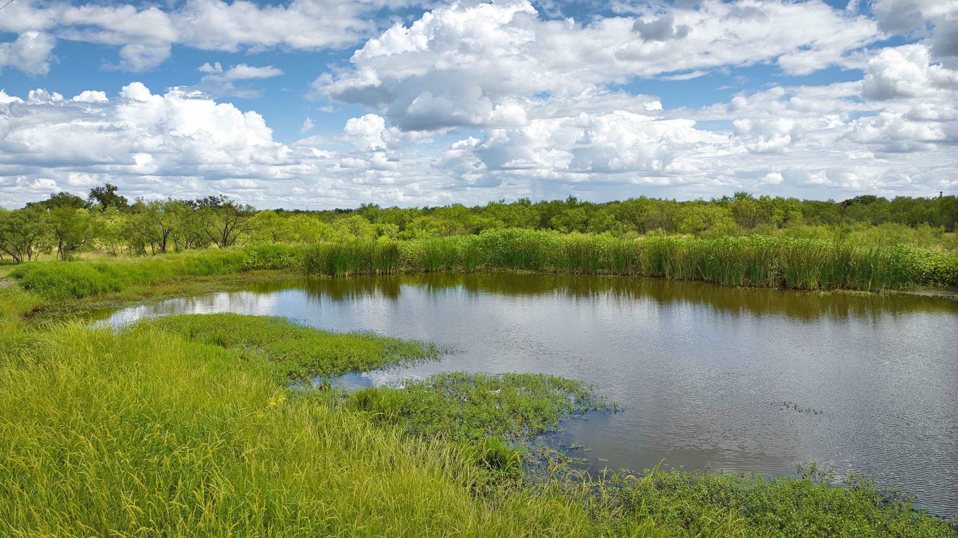 55 acres in Llano County - photo 14