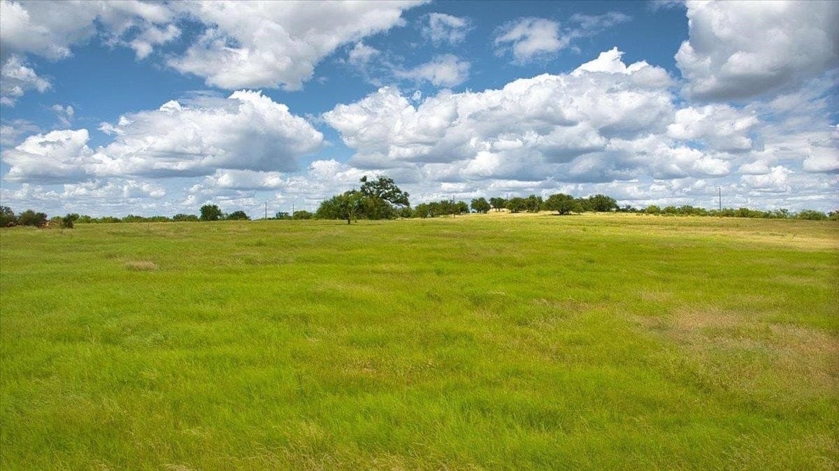 55 acres in Llano County gallery image 4