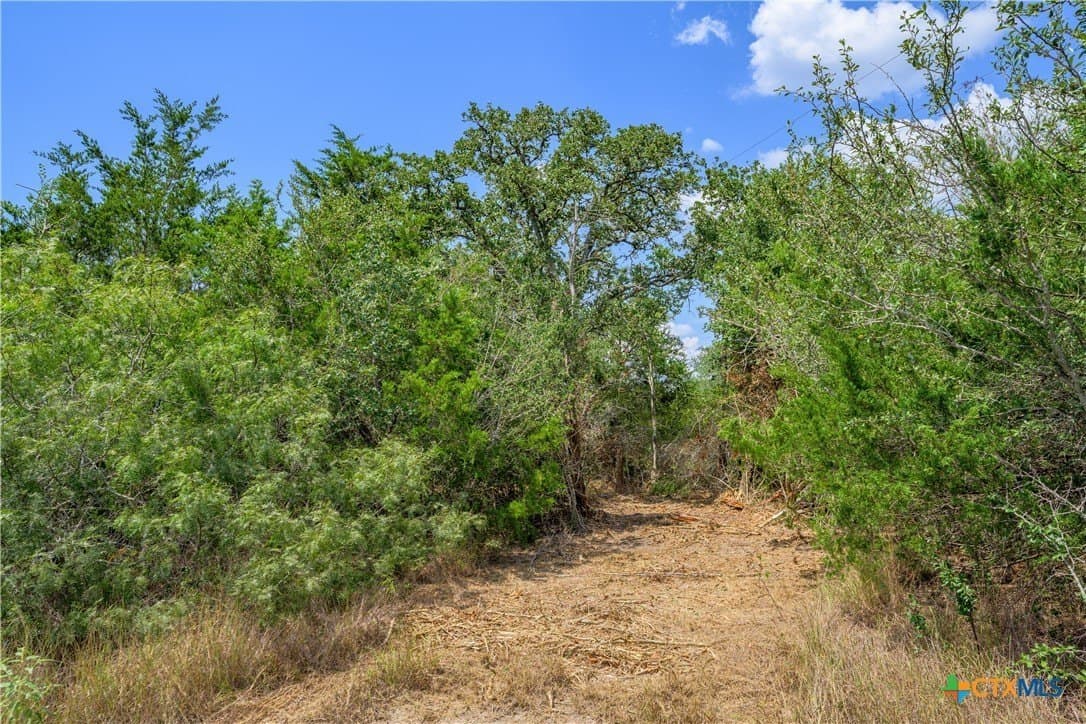 76.48 acres in Fayette County - photo 15