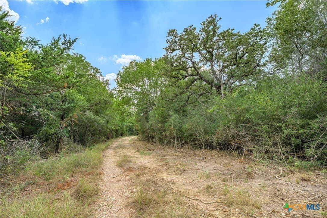 76.48 acres in Fayette County - photo 20