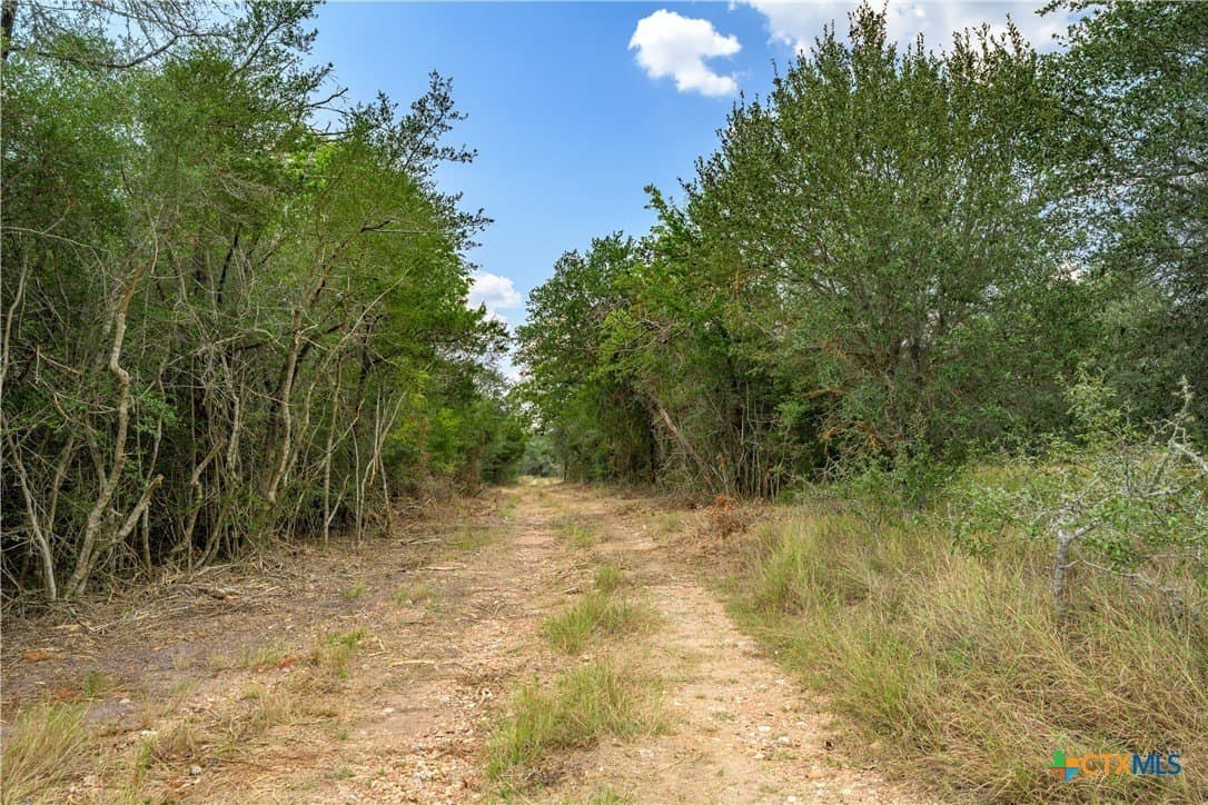 76.48 acres in Fayette County - photo 16