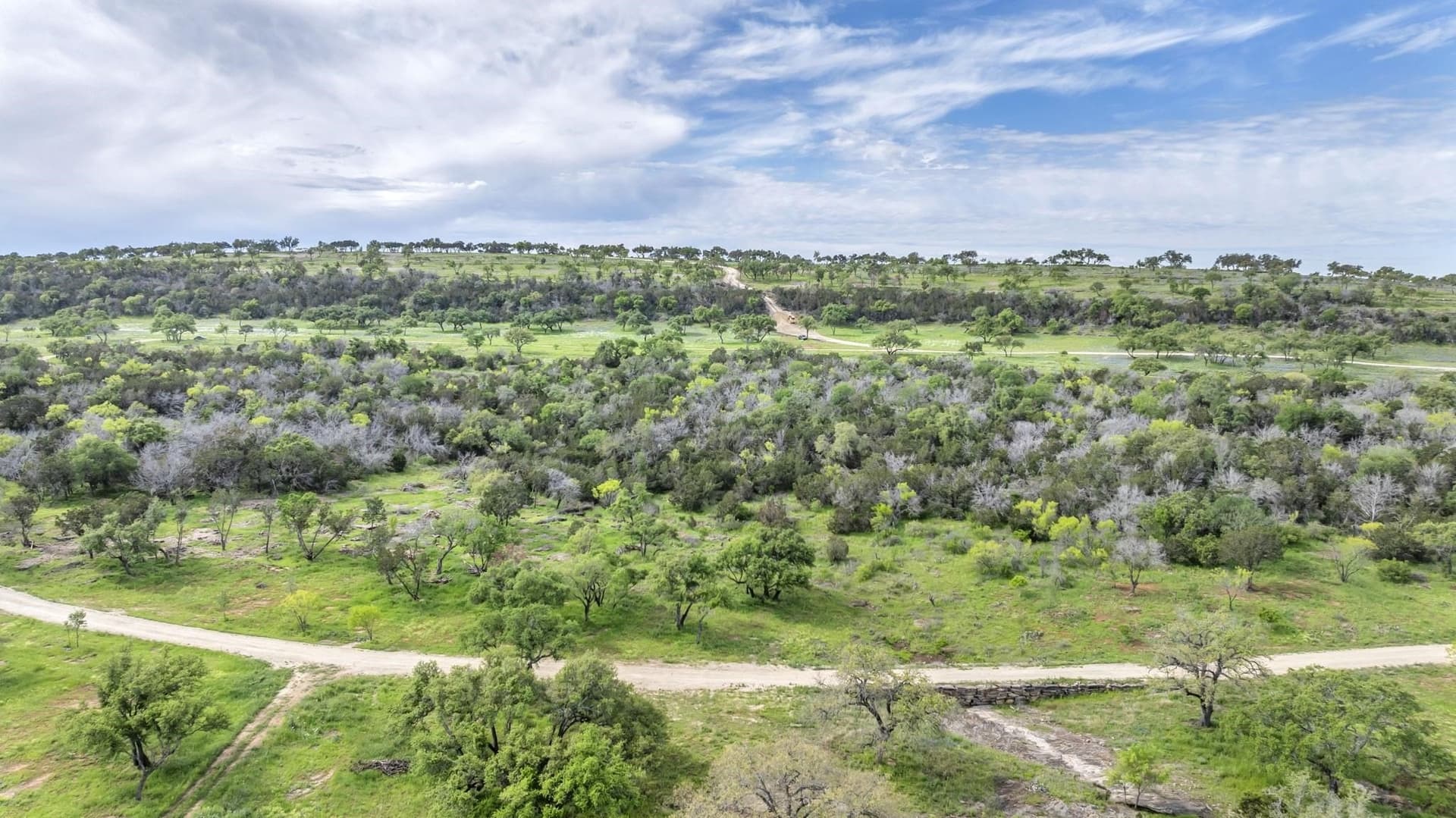 12.5 acres in Blanco County gallery image 2