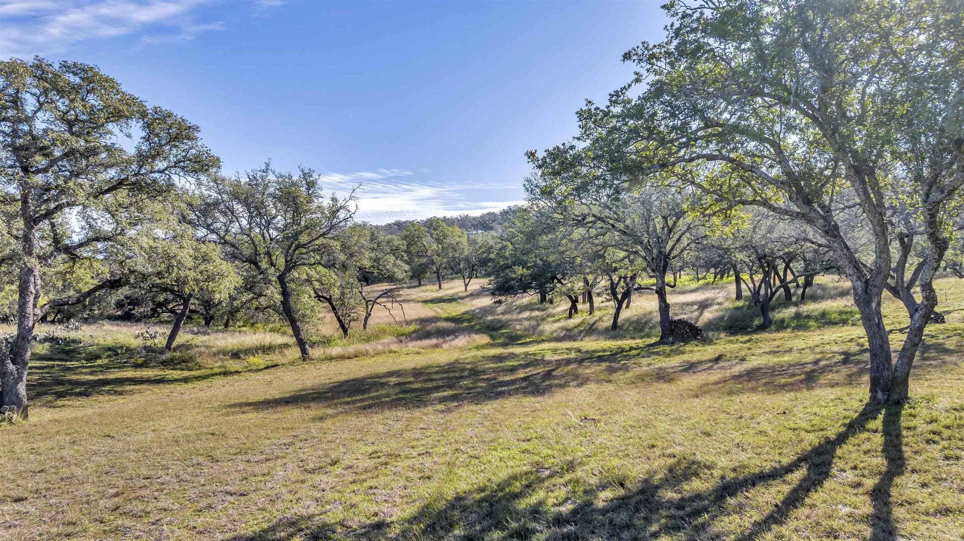 12.5 acres in Blanco County featured view