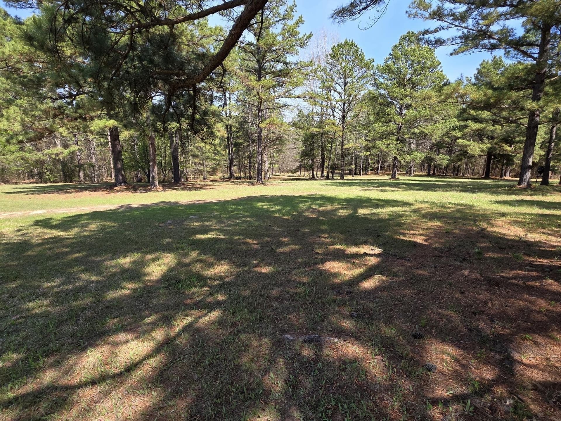 40 acres in Wood County - photo 31