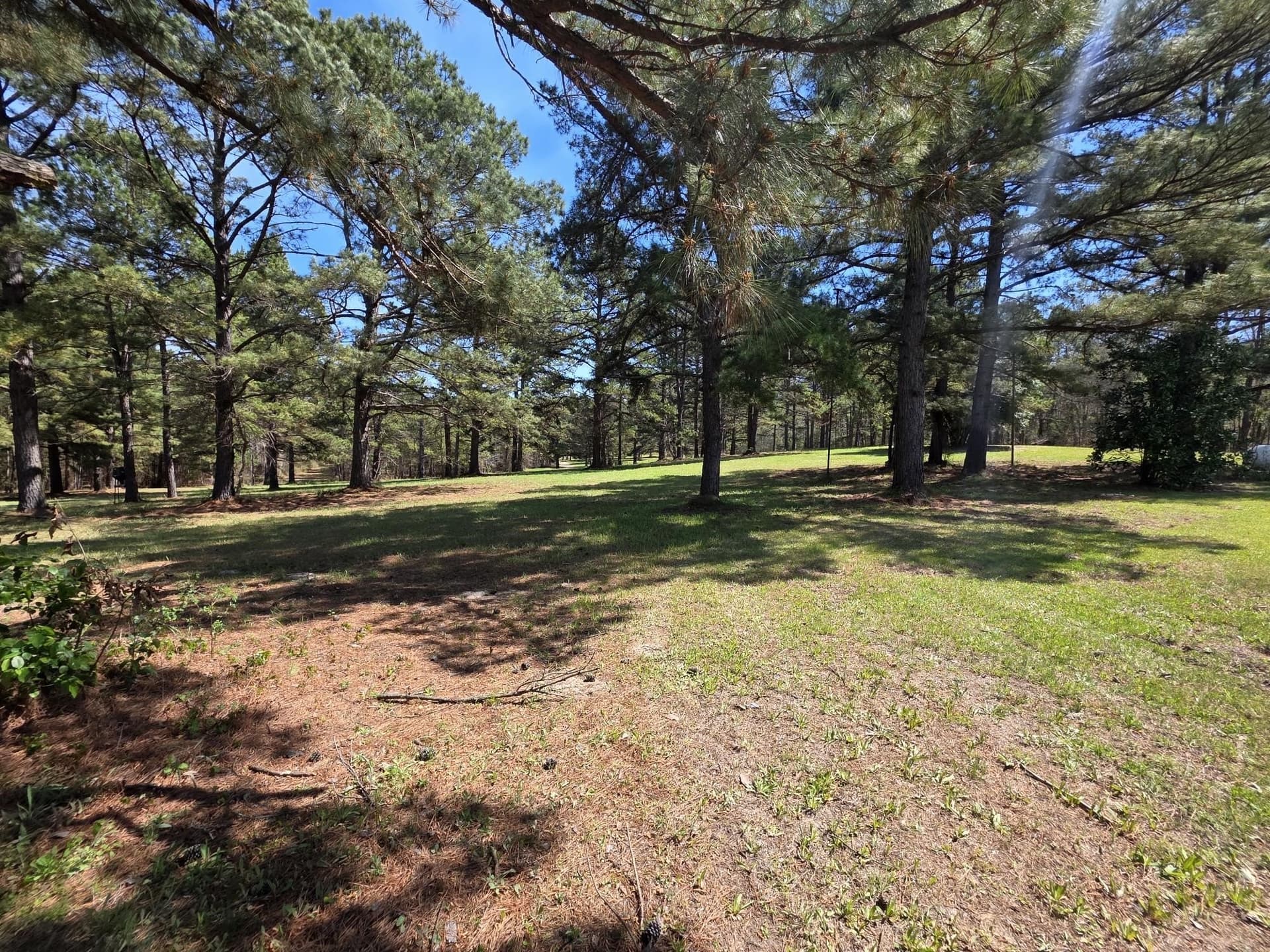 40 acres in Wood County - photo 33