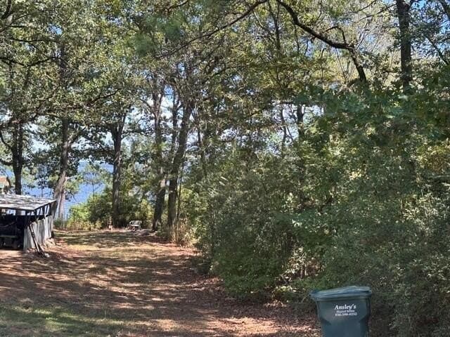 0.18 acres in Texas County - photo 4