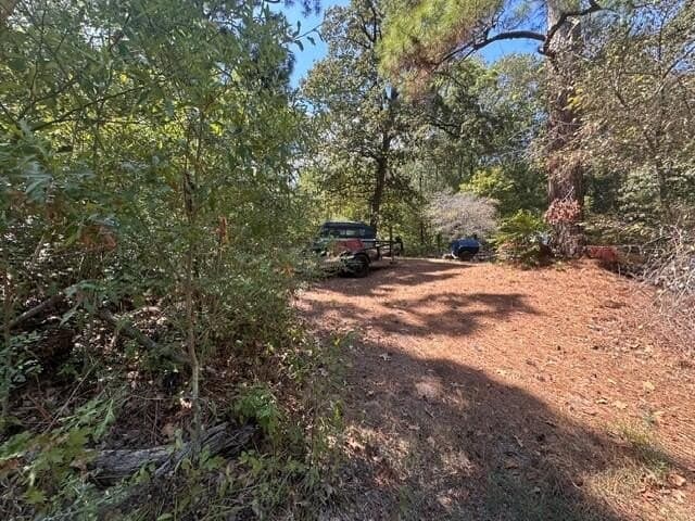 0.18 acres in Texas County - photo 3