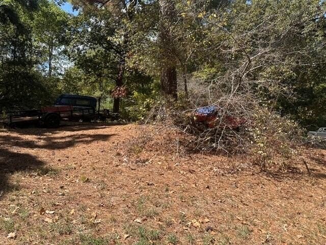 0.18 acres in Texas County - photo 2