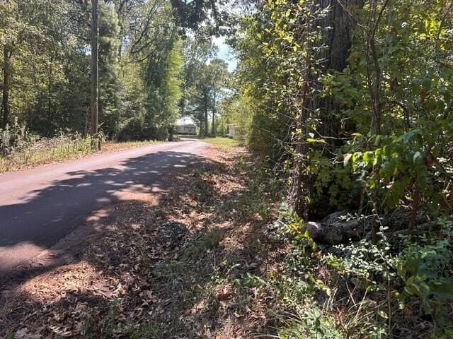 0.18 acres in Texas County - photo 5