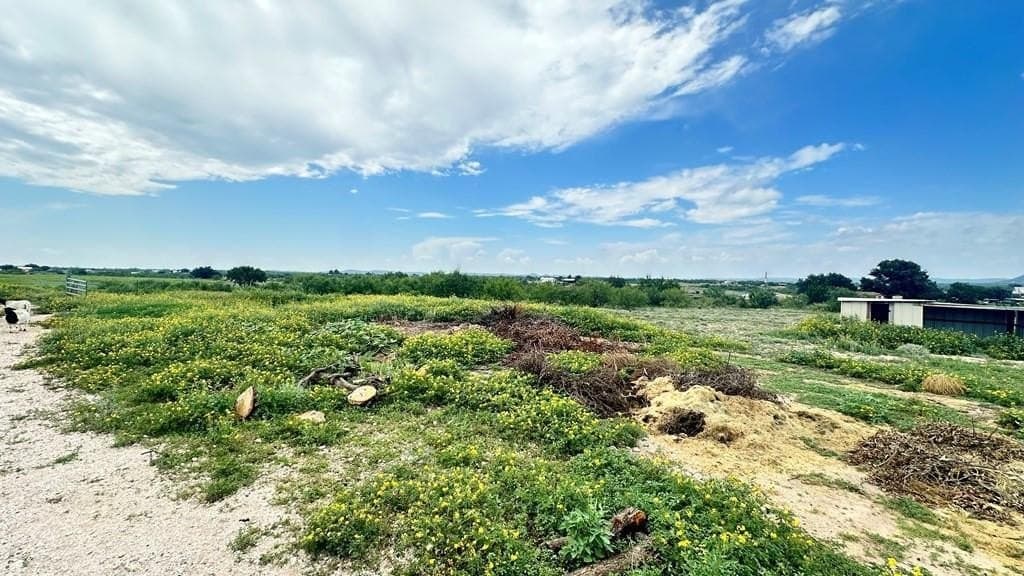 10 acres in Tom Green County - photo 6