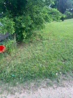 0.22 acres in Dallas County gallery image 4
