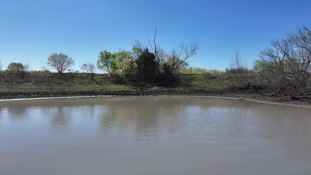 107 acres in Gonzales County - photo 25