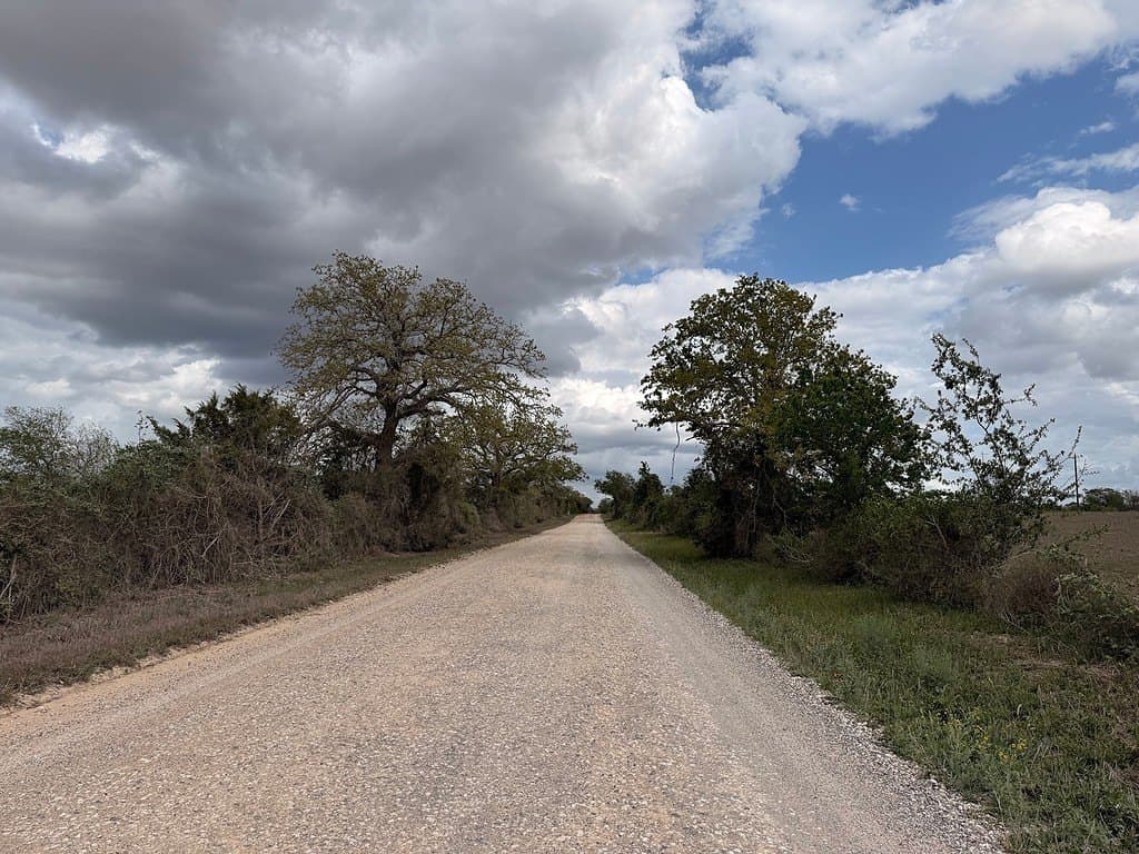 107 acres in Gonzales County - photo 21