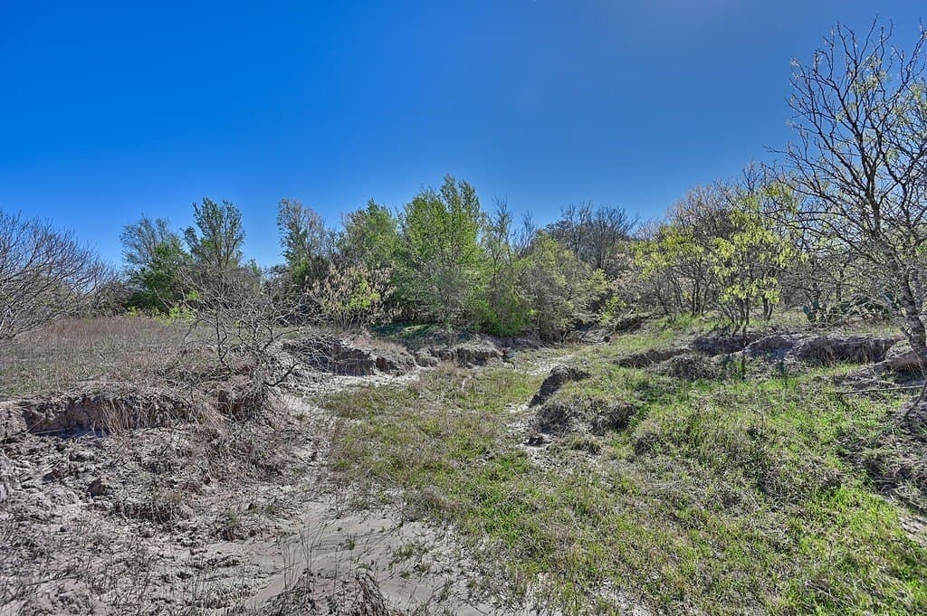 107 acres in Gonzales County - photo 8