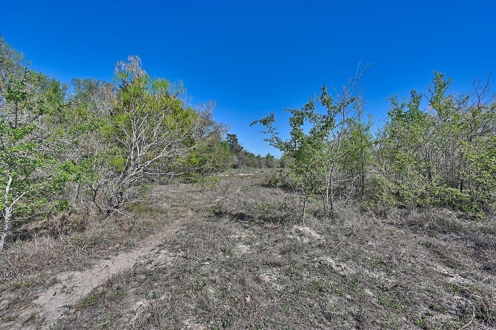 107 acres in Gonzales County - photo 14