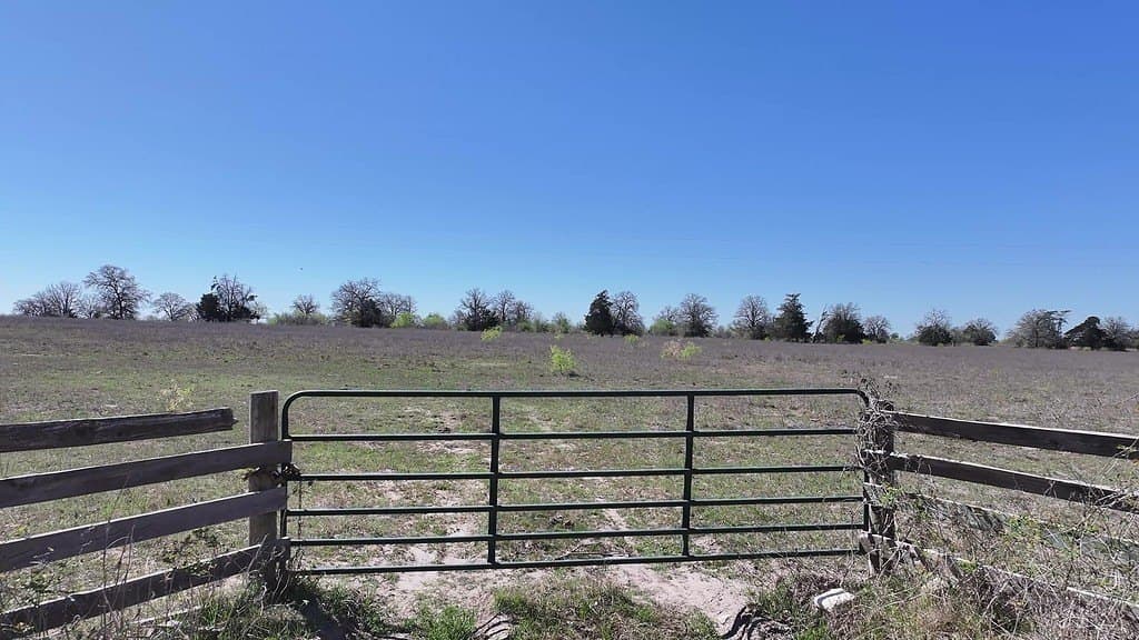 107 acres in Gonzales County - photo 20