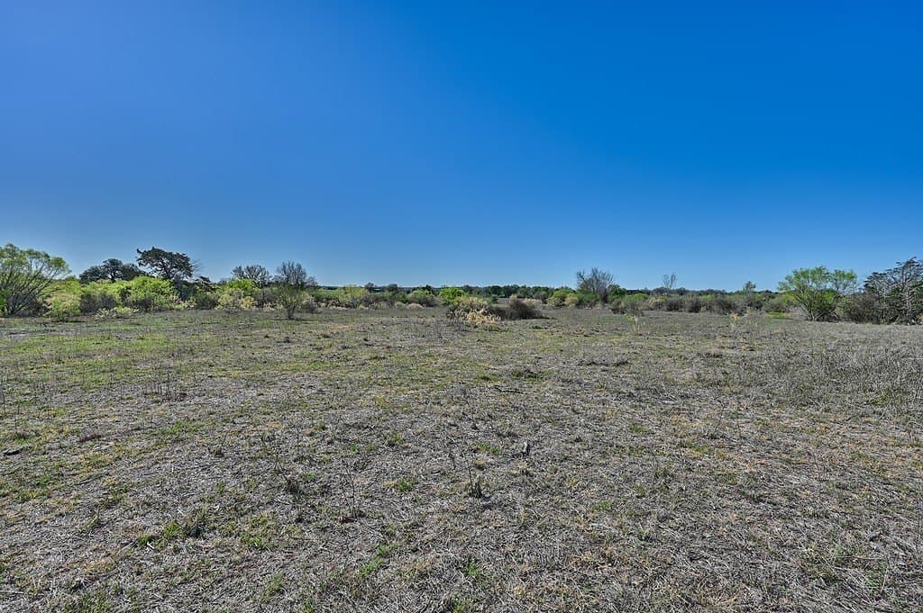 107 acres in Gonzales County gallery image 3