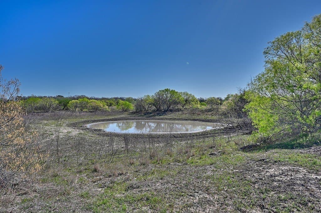 107 acres in Gonzales County - photo 19
