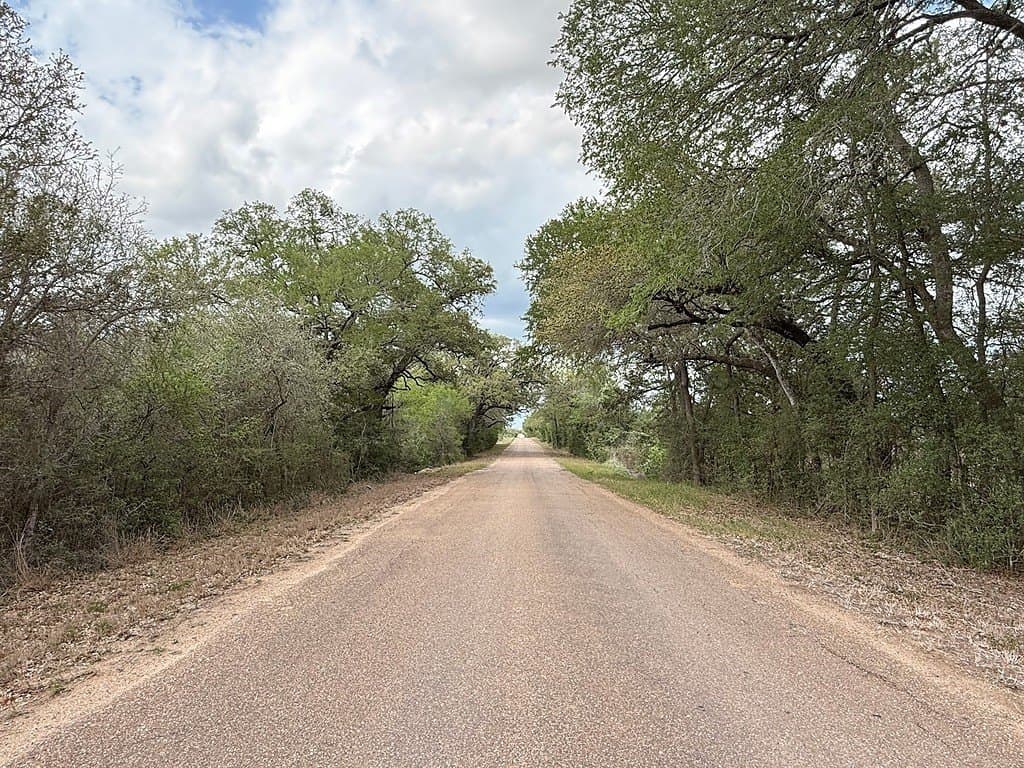 107 acres in Gonzales County - photo 23