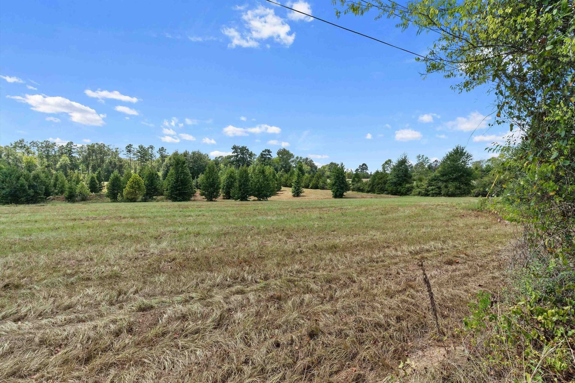 110 acres in Panola County - photo 16