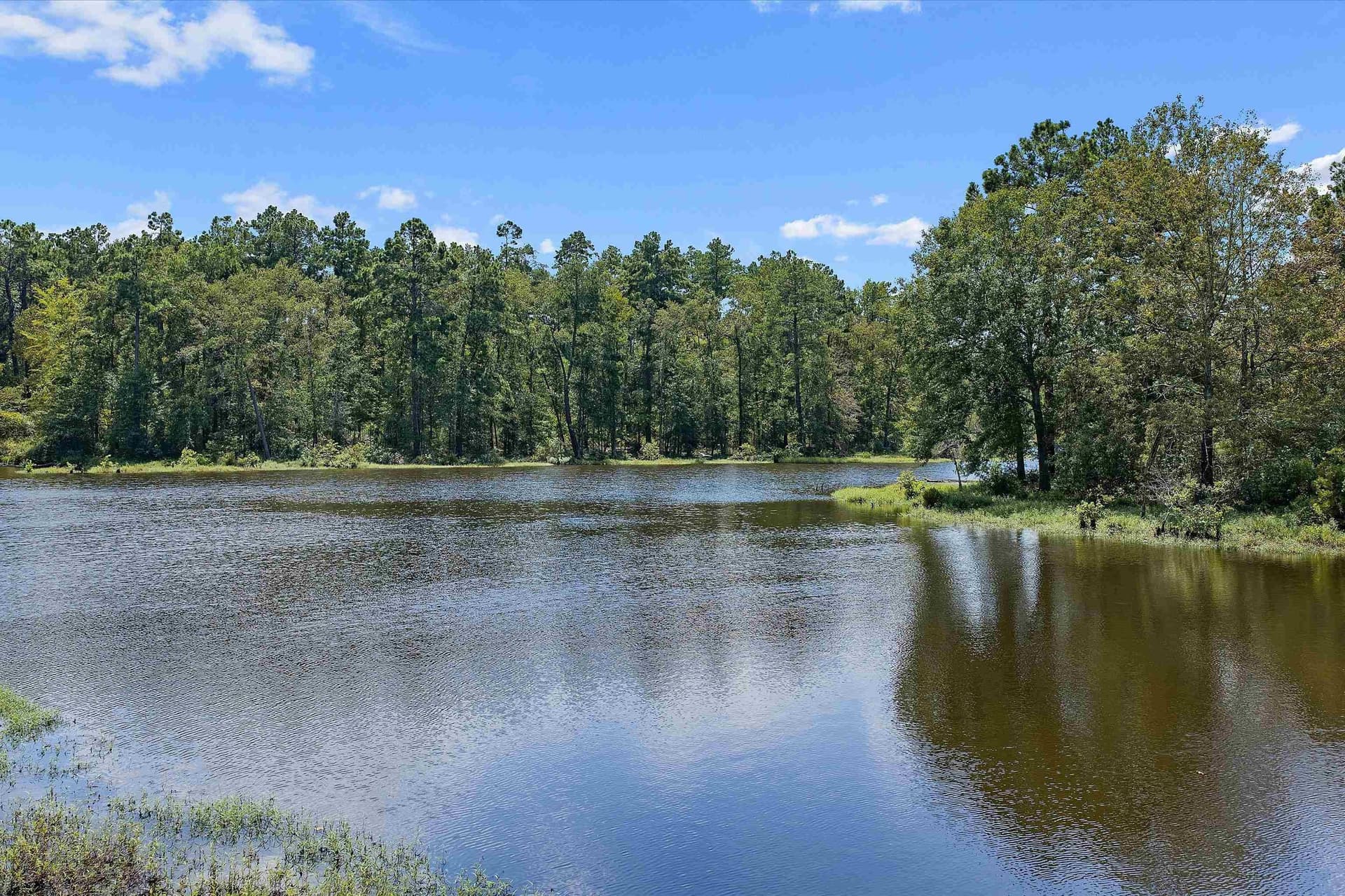 110 acres in Panola County - photo 2