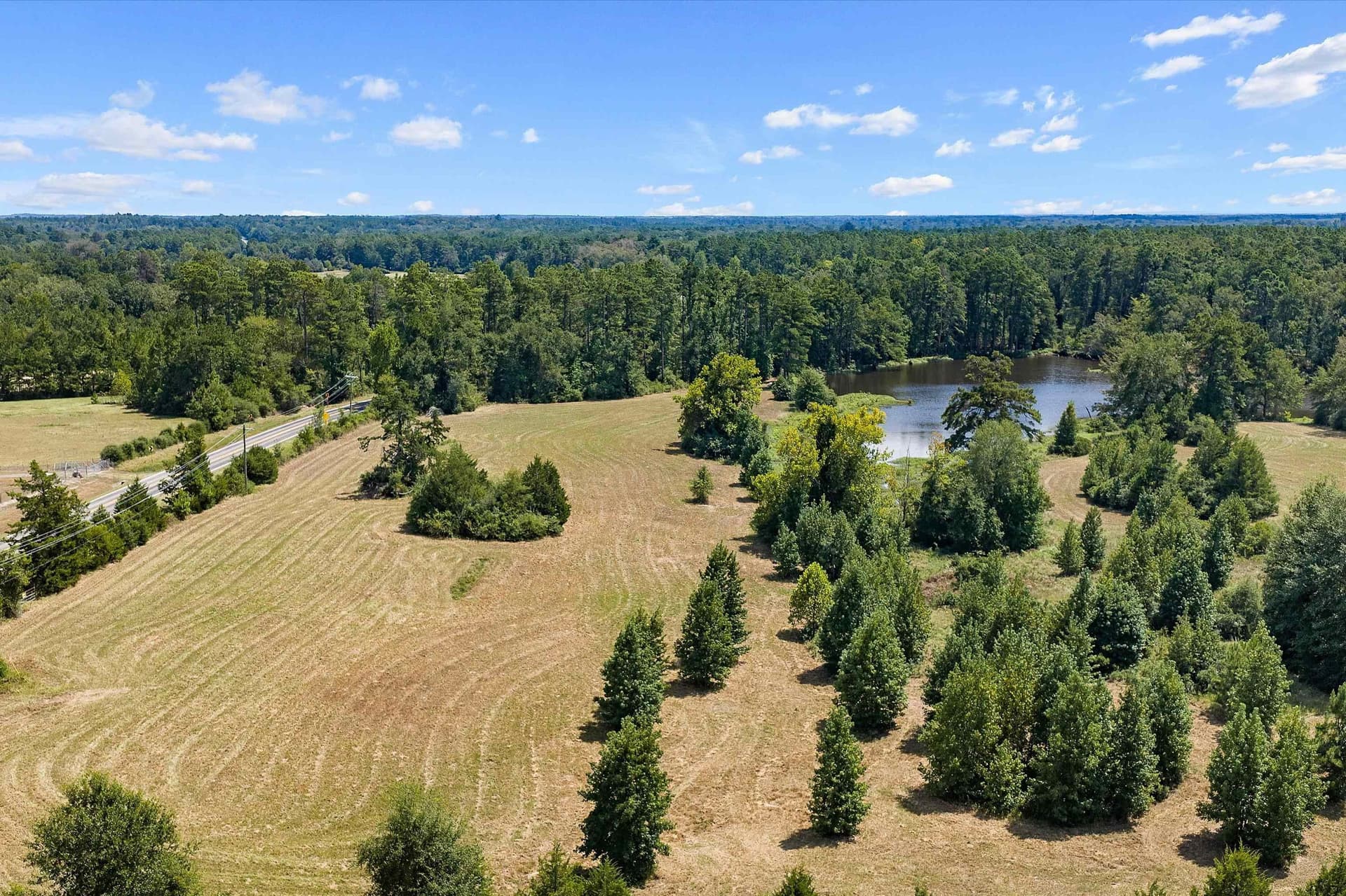 110 acres in Panola County - photo 9