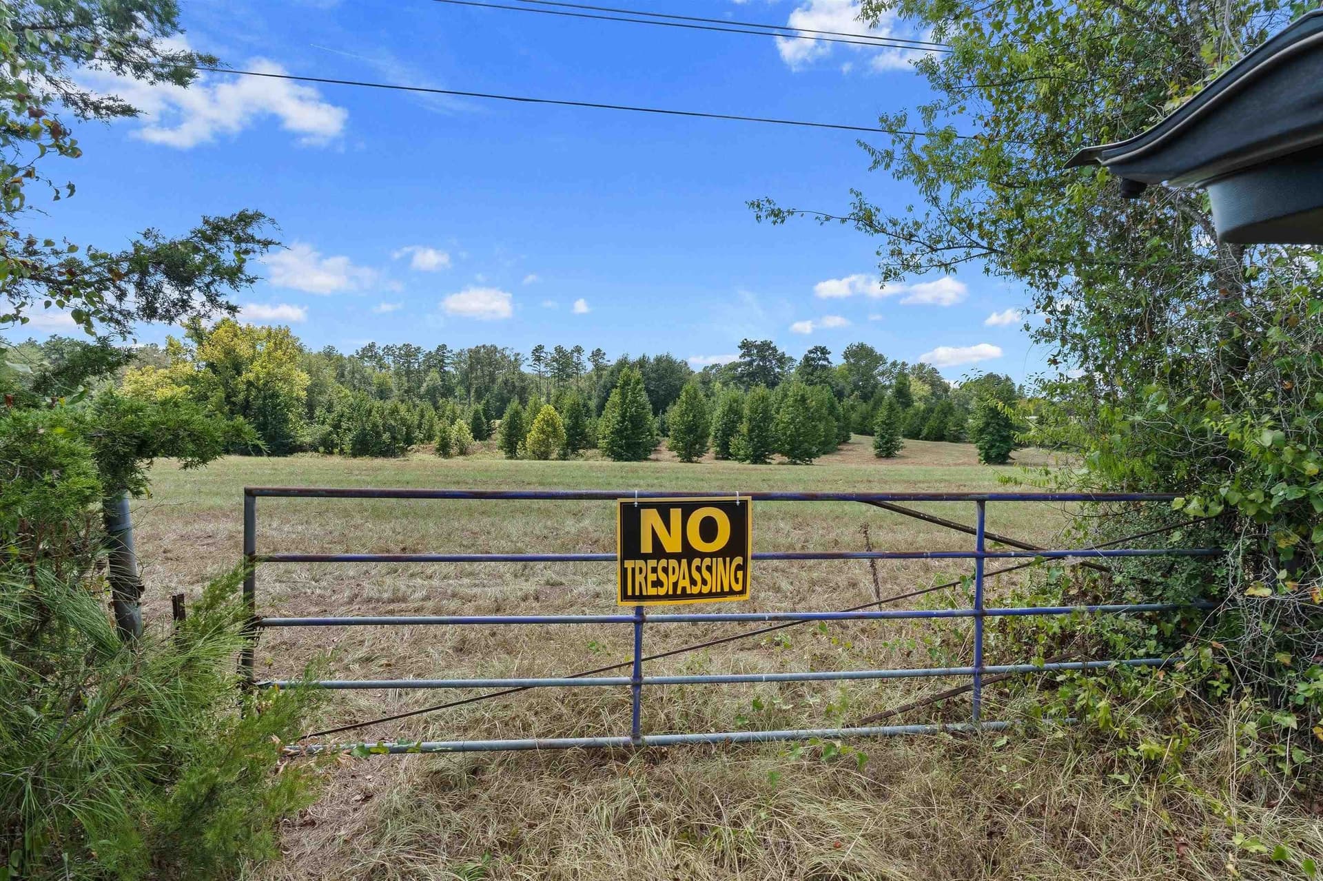 110 acres in Panola County - photo 15