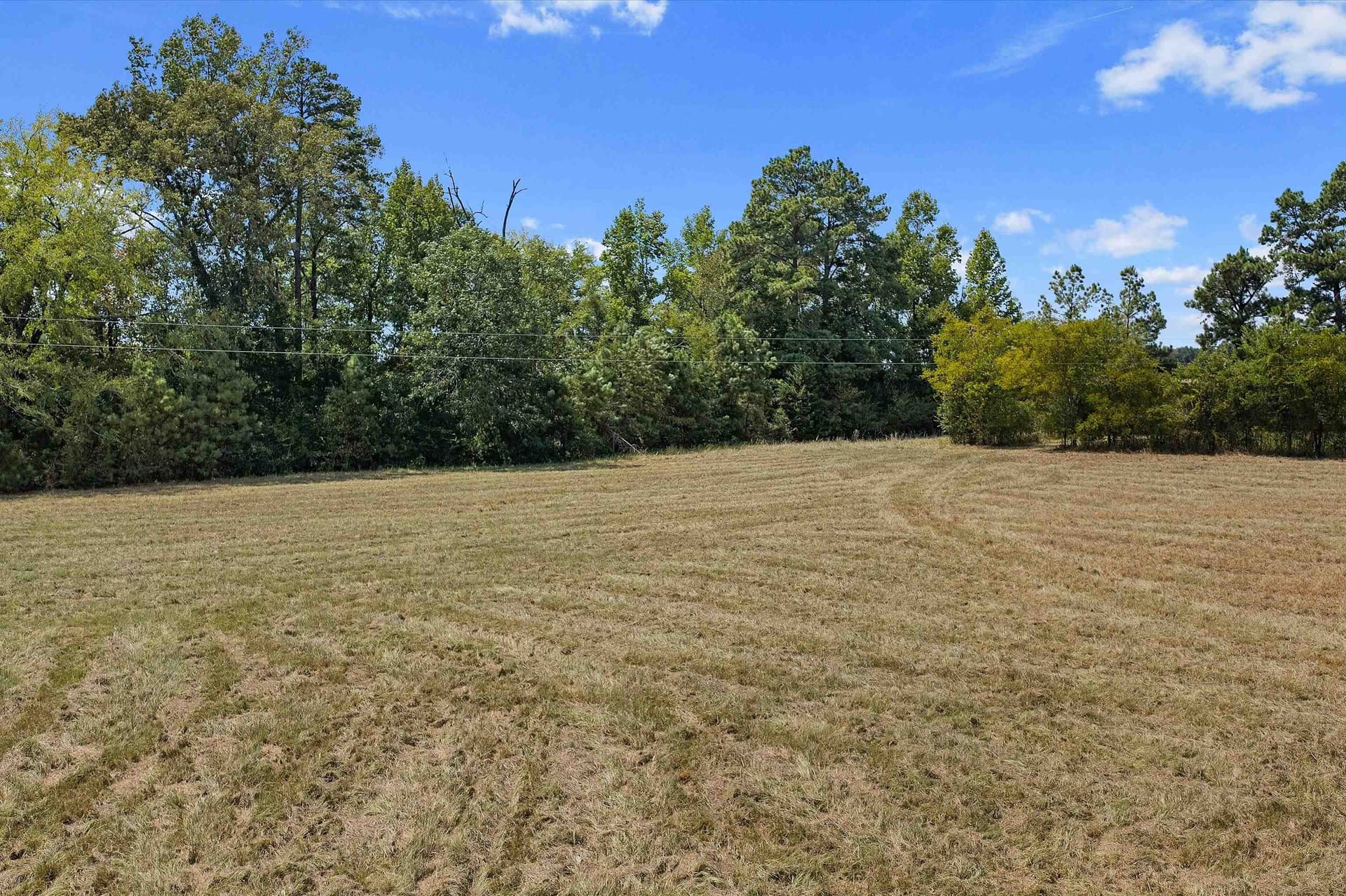 110 acres in Panola County - photo 8