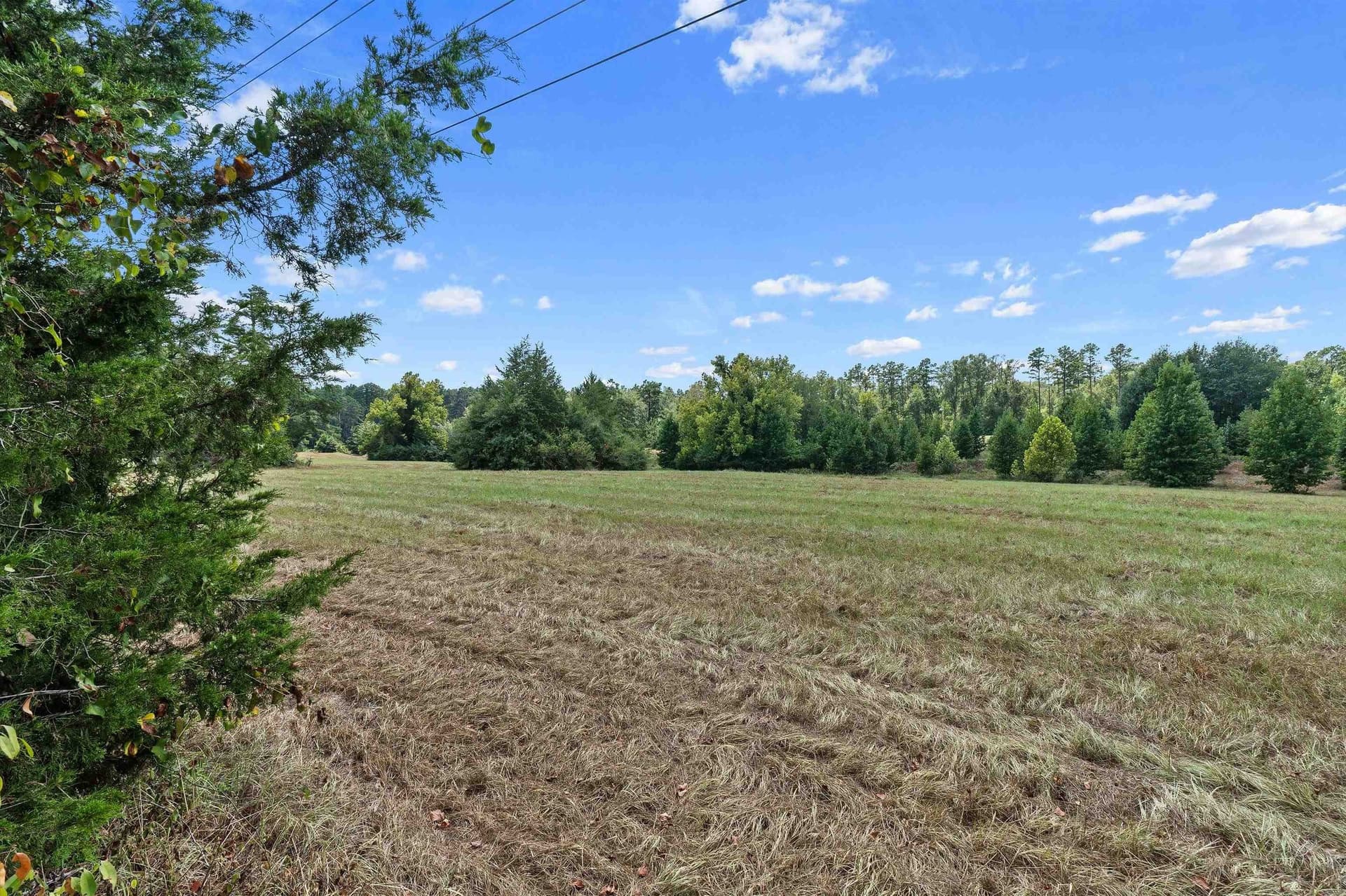 110 acres in Panola County - photo 17