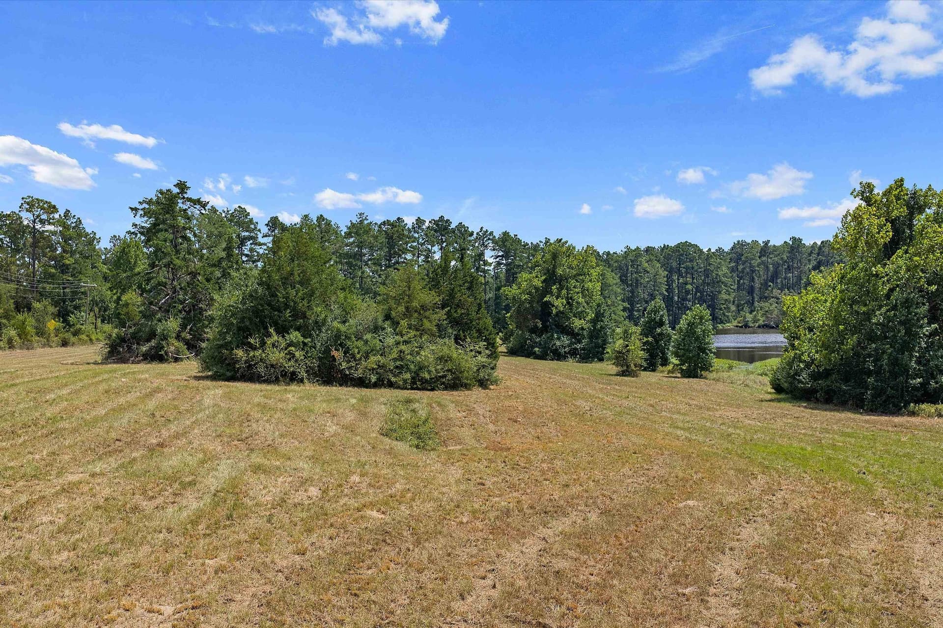 110 acres in Panola County - photo 10